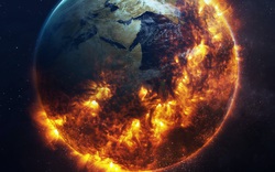 Cảnh báo Trái đất bước vào kỷ nguyên đại tuyệt chủng lần thứ sáu