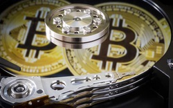 Nếu đầu tư 100 USD vào bitcoin năm 2010, bây giờ bạn sẽ có bao nhiêu tiền?
