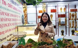 50kg sâm tươi trị giá hơn 6 tỷ đồng được bày bán tại chợ sâm Quảng Nam