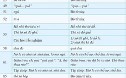Công bố tài liệu điều chỉnh sách giáo khoa Tiếng Việt lớp 1 bộ Cánh Diều
