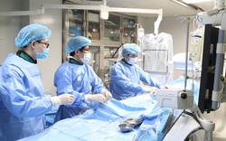 Trung tâm Đột quỵ - Bệnh viện đa khoa tỉnh Phú Thọ: Giành lại sự sống cho bệnh nhân nơi “cửa tử”