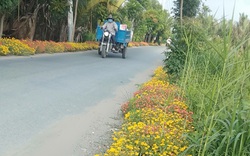 Hội Nông dân TP HCM “biến” hàng loạt đường rác thành đường hoa ở nông thôn