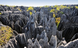 Khám phá "khu rừng đá" vô cùng độc đáo ở Madagascar
