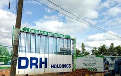 DRH Holdings: Năm 2020 doanh thu giảm mạnh, vay nợ tăng 136,8%   