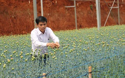 Lâm Đồng: Người dân làm nông nghiệp công nghệ cao đang "khát vốn"