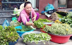Hậu Giang: Dân chui vô ruộng mía vặt thứ rau dại gì mà đem ra chợ bán người mua tới tấp?