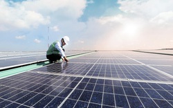 Chủ tịch TT-Huế yêu cầu kiểm tra hoạt động của các trang trại “điện mặt trời” 