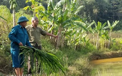 Dạy nghề gắn với hỗ trợ vốn, tìm việc làm cho nông dân