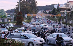 Thưởng 1 tỷ đồng cho ý tưởng chống ùn tắc giao thông tại thành phố Đà Lạt