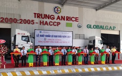 Xuất khẩu gạo năm 2021: Thận trọng với sự cạnh tranh từ Ấn Độ