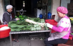 Làng nghề bánh chưng Bờ Đậu sôi động vào vụ Tết