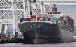 "Mờ mắt" vì tiền, các hãng vận tải từ chối chở nông sản Mỹ để gửi container rỗng sang Trung Quốc