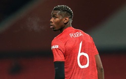 Sau cú vấp sốc trước Sheffield Utd, M.U đón tin cực vui về Pogba