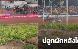 Sân Lạch Tray trồng rau, báo Thái Lan giật tít: "V.League đang làm nông nghiệp?"