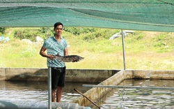 Lâm Đồng: Nông dân trẻ 9X bỏ 7 tỷ xây bể nuôi cá tầm đặc sản, sau bao nhiêu năm thì có lời?