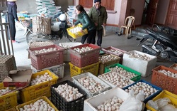 Nghệ An: Giá trứng vịt giảm sát đáy, lại thêm nghịch cảnh này, nông dân "tiến thoái lưỡng nan"