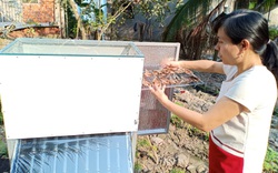 Kiên Giang: Một cô giáo làng sáng chế máy sấy tự động sấy rau, củ, quả, cá, càng nắng to sấy càng mau khô