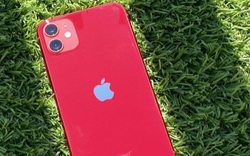 iPhone 11 cực kì đáng mua, giá hiện tại bao nhiêu?