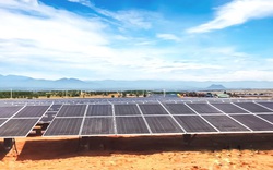 T&T Group đồng loạt hòa lưới 3 nhà máy điện mặt trời 