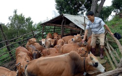 Nông dân Thuận Châu thi đua sản xuất và kinh doanh giỏi