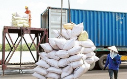 Việt Nam nhập khẩu gạo giá rẻ từ Ấn Độ?