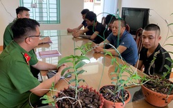Gia Lai: Xuất hiện "chiêu" bán hoa lan rừng đột biến giả, công an TP Pleiku phát thông báo tìm nghi can lừa đảo
