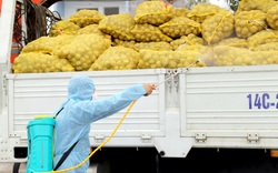 Quảng Ninh hỗ trợ tiêu thụ nông sản cho nông dân vùng bị phong tỏa