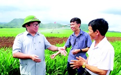 Khẳng định bản lĩnh nông dân và vai trò Hội Nông dân Việt Nam trong việc tham gia phòng, chống dịch Covid-19