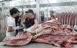 Giá lợn hơi giảm, doanh nghiệp sẵn sàng tăng công suất giết mổ