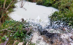 Chiêm Hóa (Tuyên Quang): Chất thải lạ chảy ra môi trường là của Công ty Chiến Công