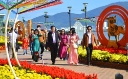 Đà Nẵng đón 30,8 nghìn lượt khách du lịch dịp Tết Nguyên đán