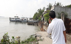 Vĩnh Long: Cây bần ngã đè chiếc phà đang chở 40 khách, nhiều người rơi xuống sông Hậu