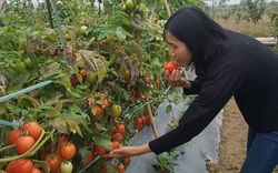 Hà Nội: Nữ tỷ phú quyền lực trong "làng rau sạch hữu cơ" tiết lộ những bí quyết trong nghề
