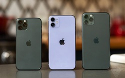 Chiếc iPhone nào được bán nhiều nhất trong năm 2020?