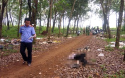 Nữ công nhân 18 tuổi nghi bị sát hại trong lô cao su ở Bình Phước