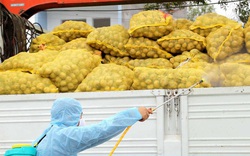 Quảng Ninh kêu gọi tiêu thụ nông sản cho nông dân vùng dịch
