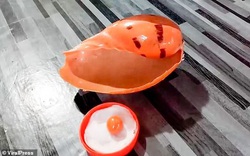 "Trúng số độc đắc" đầu năm khi đang ăn ốc luộc thì cắn trúng viên ngọc trai màu cam Melo giá chục tỉ