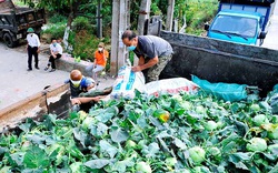 Hải Dương: "Tâm dịch” Covid-19 TP Chí Linh tiếp nhận hơn 100 tấn rau xanh do đơn vị hảo tâm "giải cứu" cho nông dân