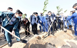 Bí thư, Chủ tịch Hà Nội trồng cây đầu năm, kêu gọi người dân trồng 1 tỷ cây xanh