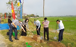 Nghệ An: Hội Nông dân tỉnh vừa trồng cây sao đen với số lượng 300 cây ở huyện nào?