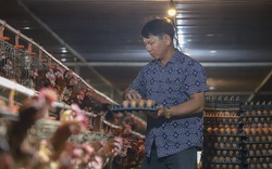 Hải Dương: Một ông nông dân trong vùng phong tỏa tiêu thụ được mấy chục vạn trứng nhờ cách này