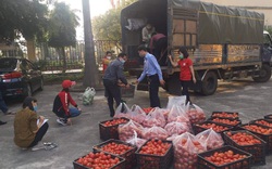 Điều gì xảy ra nếu chuỗi cung ứng trong tam giác phát triển Hà Nội-Hải Phòng-Quảng Ninh mà Hải Dương là trung tâm đứt gãy?