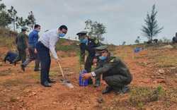 Quảng Nam: Bí thư và Chủ tịch tỉnh hưởng ứng phong trào trồng 1 tỷ cây xanh