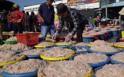 Bình Định: Bất ngờ trúng quả lớn, ngư dân đưa cả tấn ruốc vào bờ bán cho thương lái thu hàng chục triệu đồng