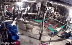Clip: Kinh hãi hàng chục người đàn ông ùa vào vây nhà một phụ nữ để đòi nợ