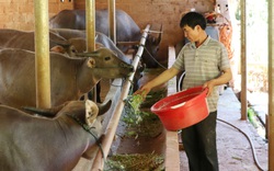 Hội Nông dân Sơn La: Làm tốt các hoạt động dạy nghề, hỗ trợ nông dân