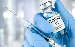 Vắc xin ngừa Covid-19 sẽ được tổ chức tiêm thế nào?
