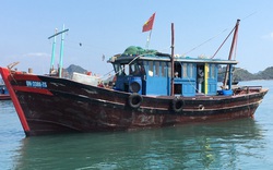 Vụ thi thể vợ chồng ngư dân trôi dạt trên vịnh Bái Tử Long: Có thể do tàu bị đâm va