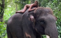 Người mẫu 22 tuổi phải xin lỗi sau khi chụp ảnh khỏa thân cùng với loài voi đang trên bờ vực tuyệt chủng