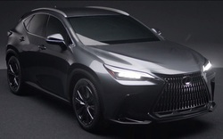 Lexus NX 2021 dự kiến bán ra vào mùa hè, giữ nguyên phong cách táo bạo